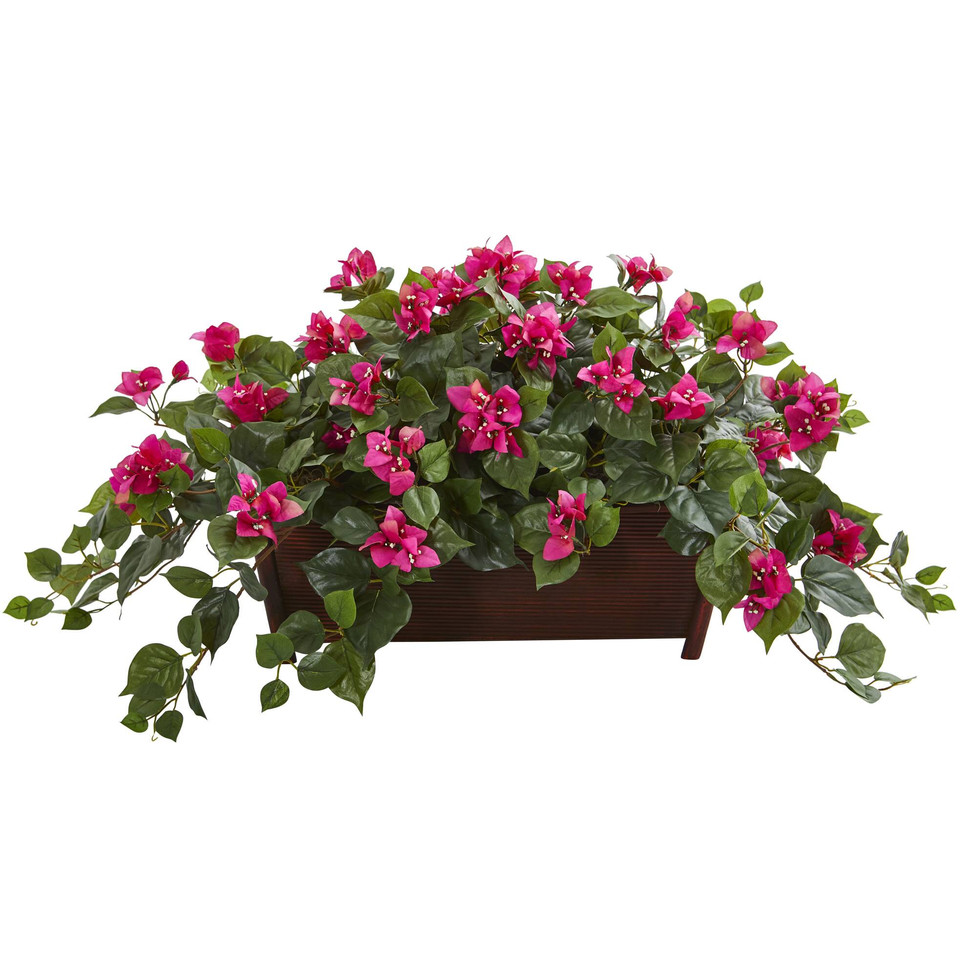 18" Bougainvillea in Decorative Planter